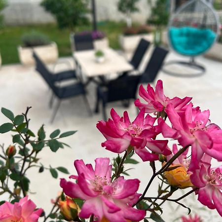 Sunny Hill - Parking - Fenced Garden - Luxury Loft Lejlighed Kotor Eksteriør billede