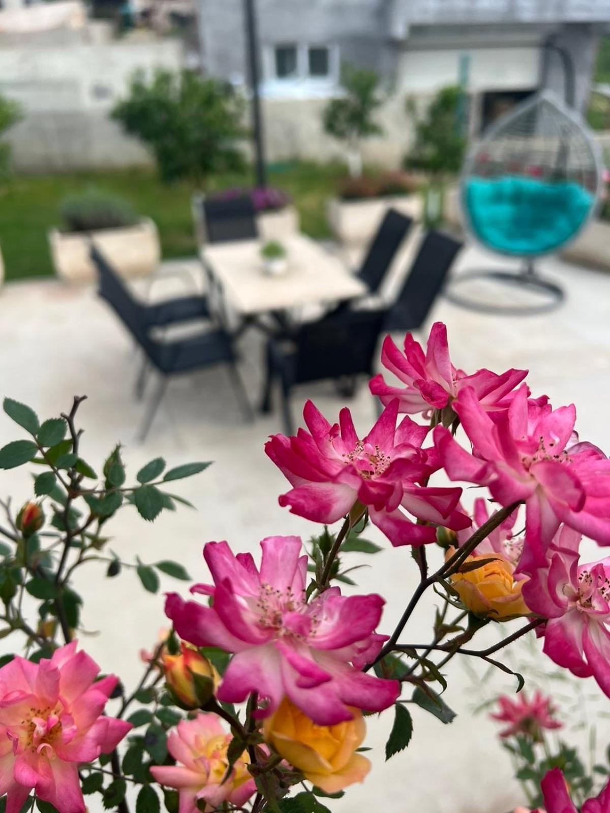 Sunny Hill - Parking - Fenced Garden - Luxury Loft Lejlighed Kotor Eksteriør billede